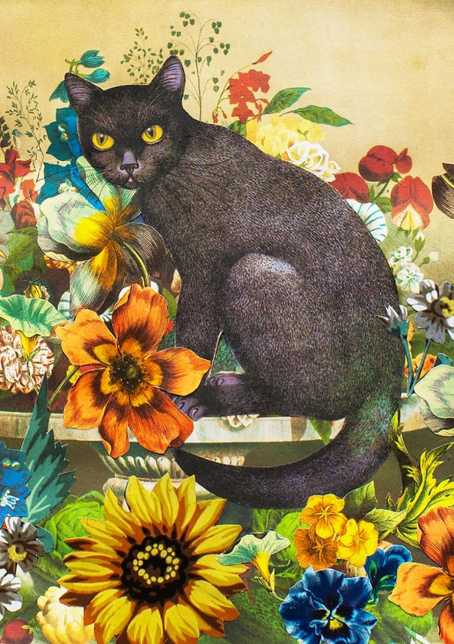Diana Wilson Arcana The Black Cat Greeting Card