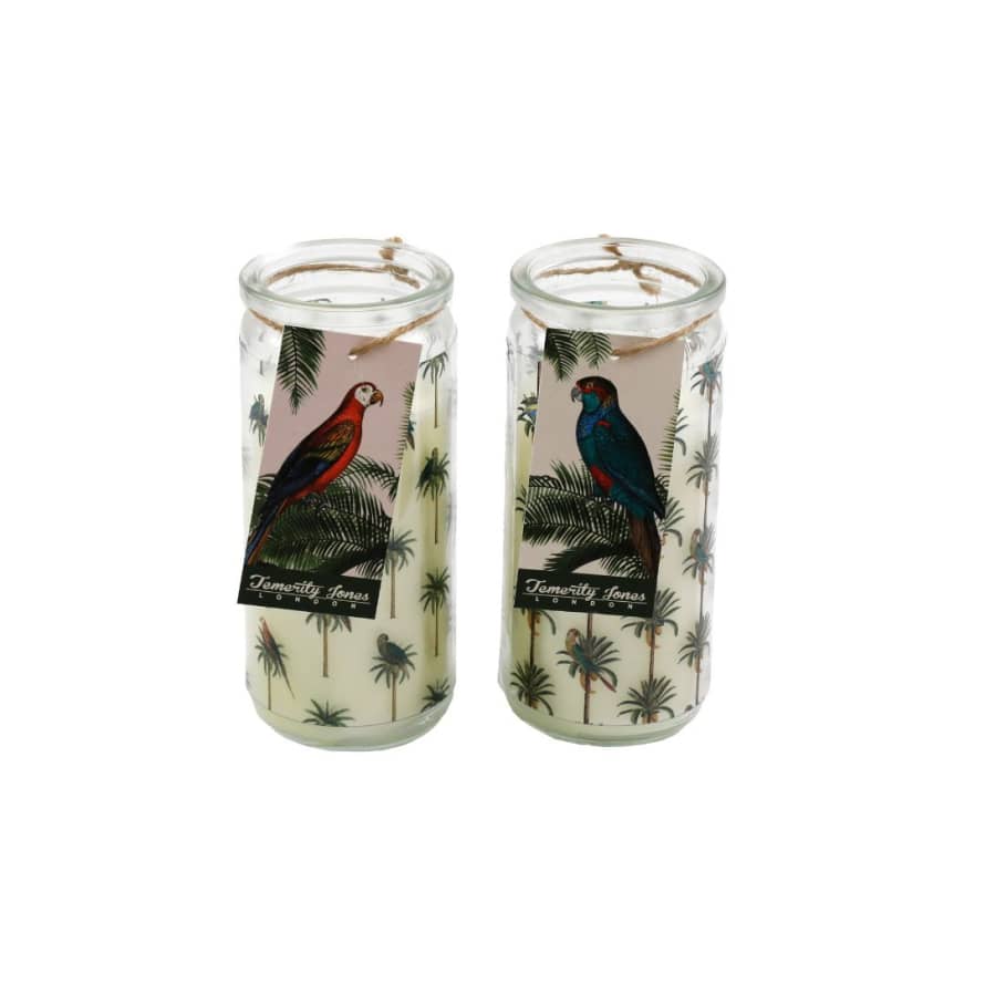 Temerity Jones Mediterranean Summer Parrot & Palm Candle Tube Pot : Red or Green