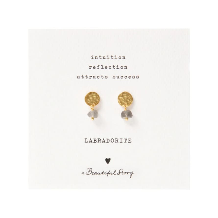 A Beautiful Story Aw30804 Mini Coin Labradorite Gp Earrings
