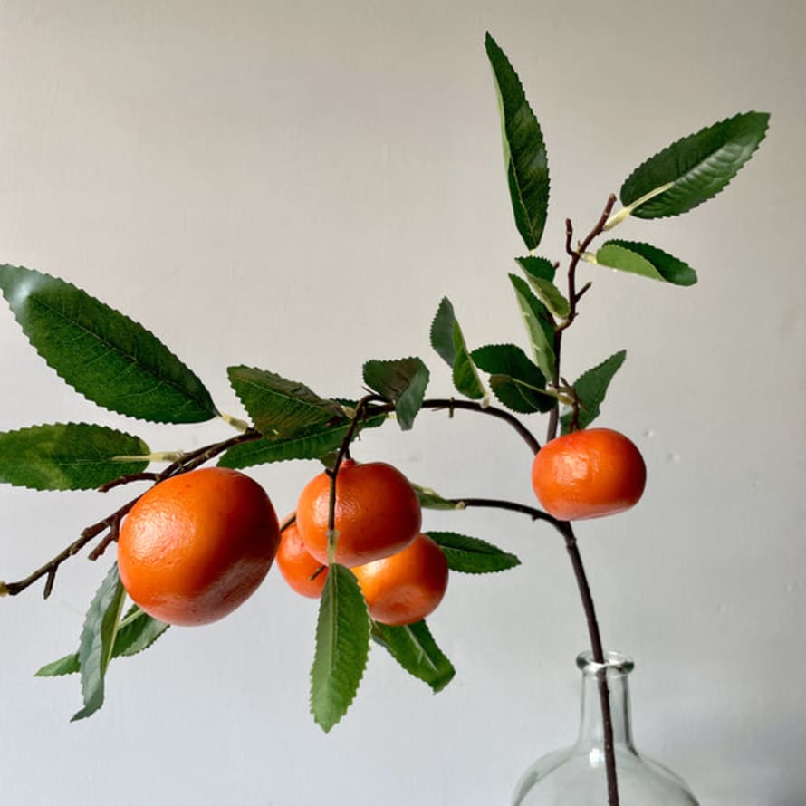Gisela Graham Clementine Orange Branch