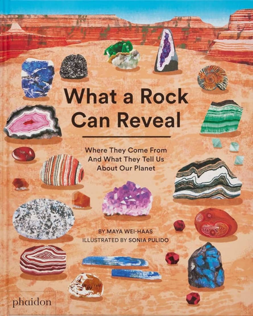 Maya Wei-Haas What A Rock Can Reveal