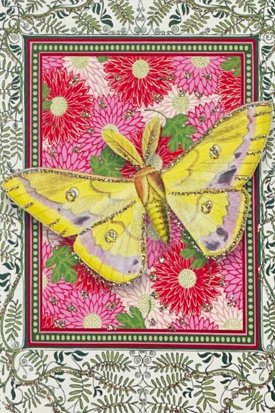 Vanilla Fly Indian Butterfly Greeting Card