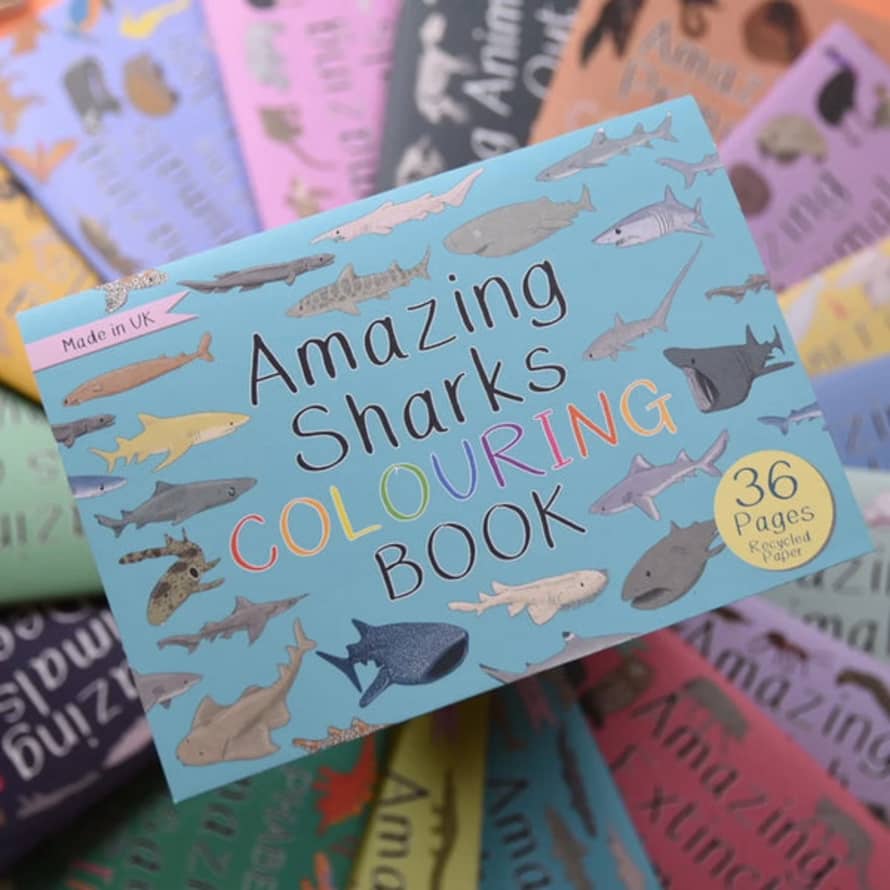 Button And Squirt : Amazing Sharks Colouring Book