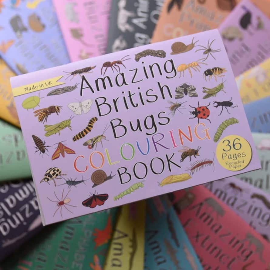 Button And Squirt : Amazing British Bugs Colouring Book