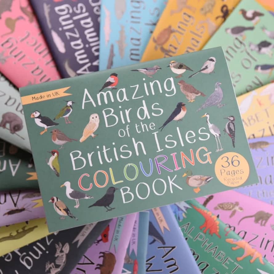 Button And Squirt : Amazing Birds Of The British Isles Colouring Book