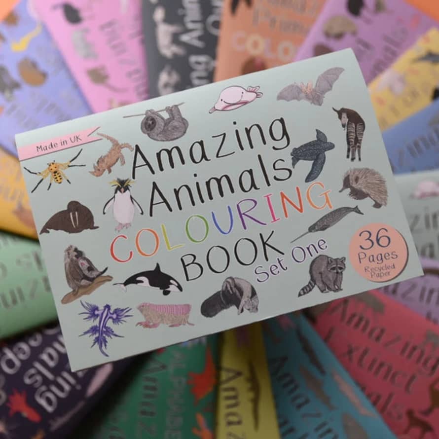 Button And Squirt : Amazing Animals Colouring Book (set 1)