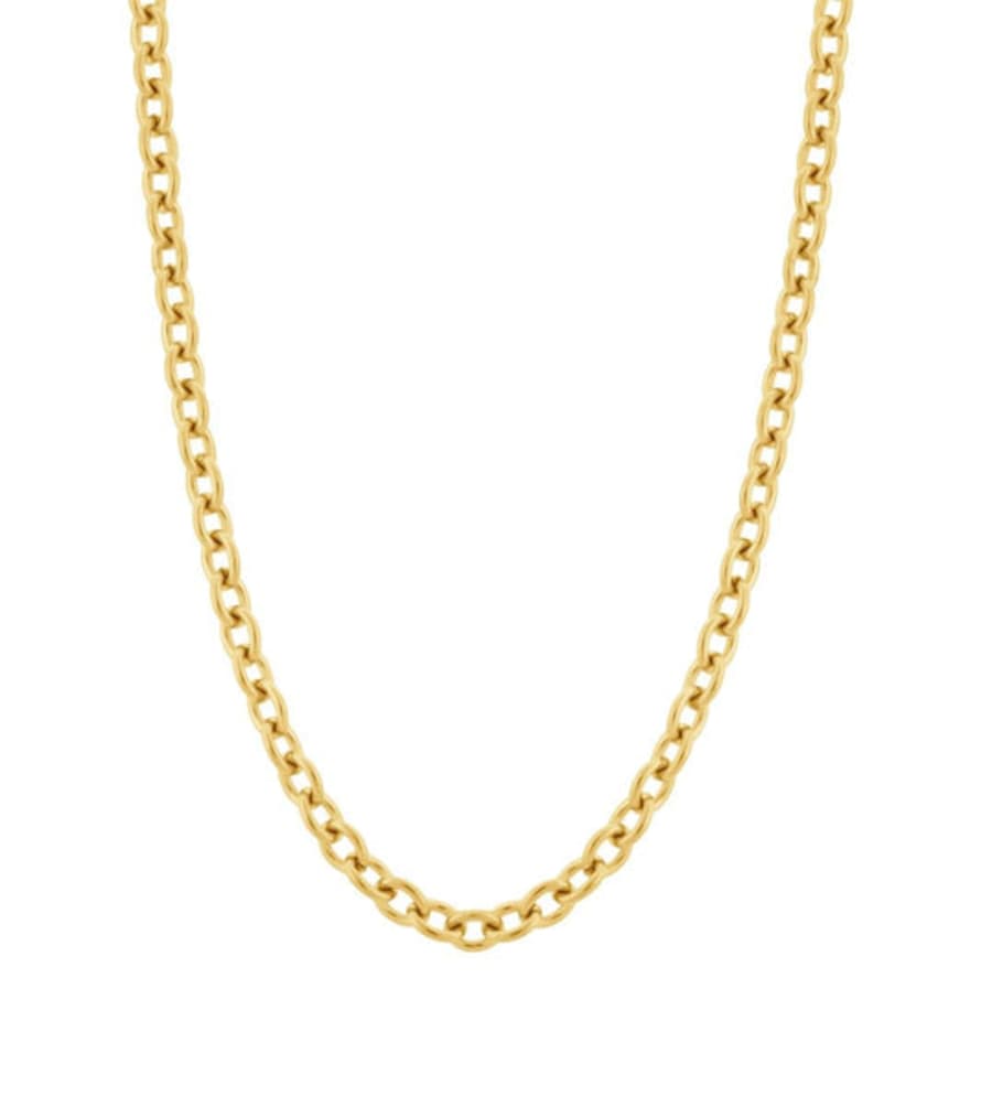 Edblad Loop Necklace In 14k Gold Plating On Stainless Steel