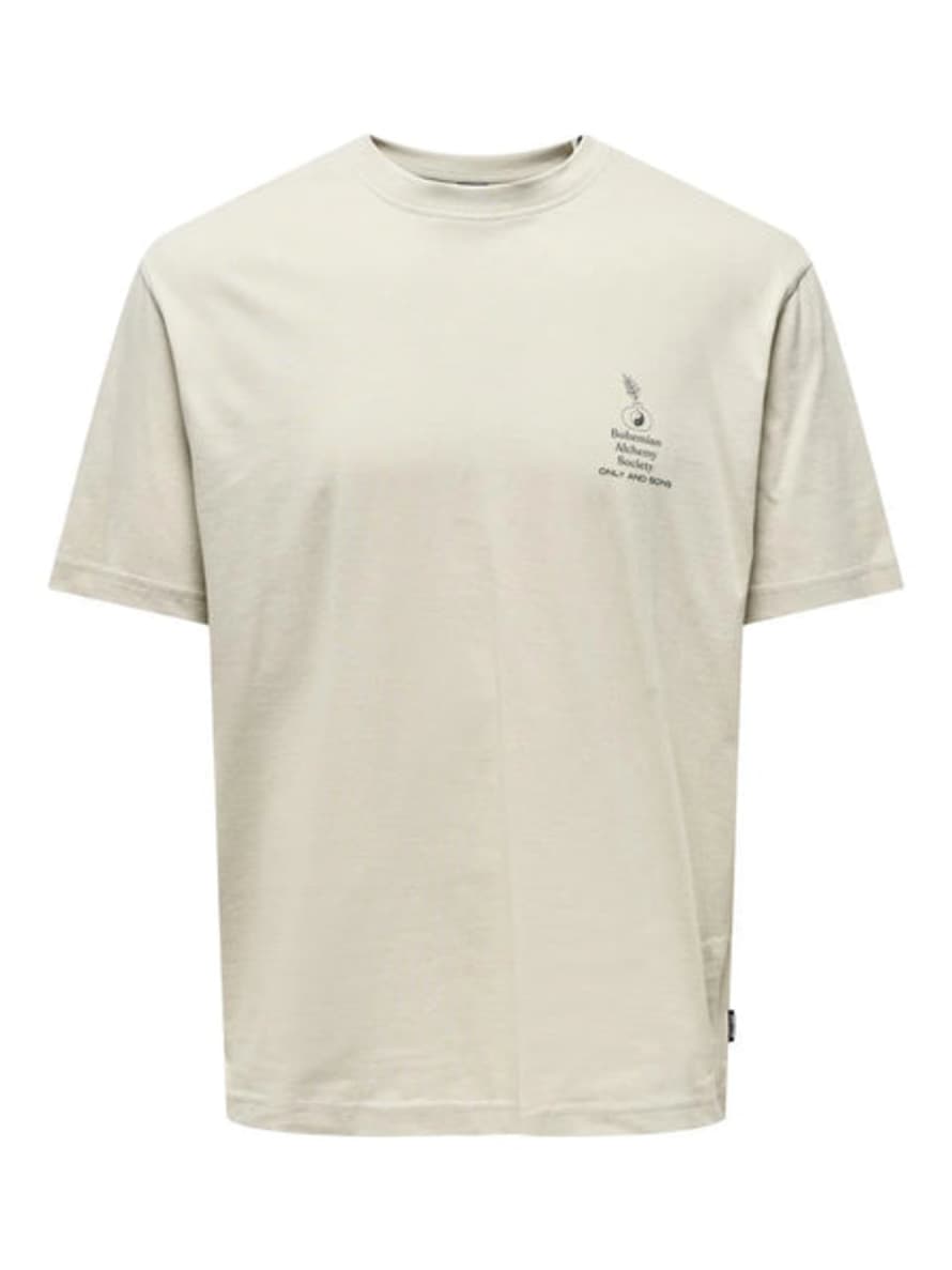 Only & Sons Kason Relax Print T-shirt Silver Lining