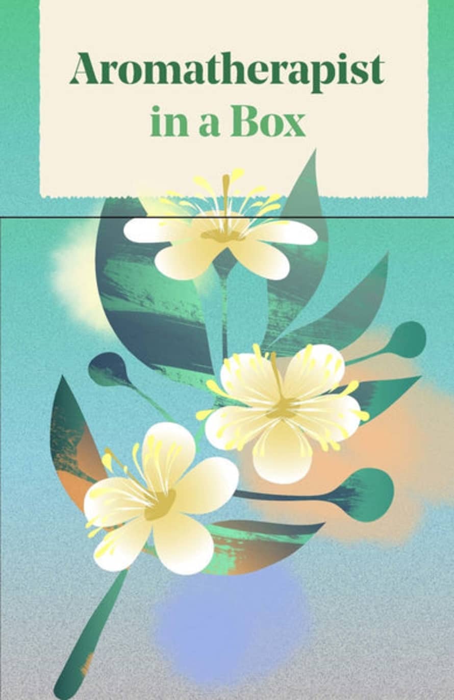 Thames & Hudson Aromatherapist In A Box