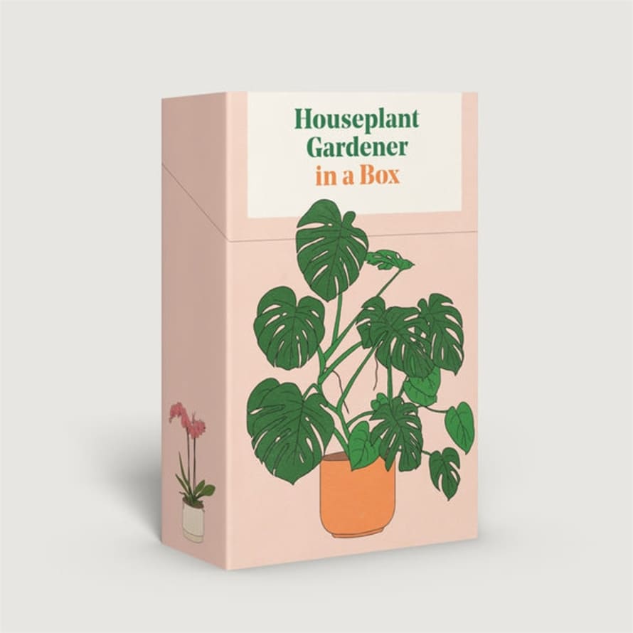 Thames & Hudson Houseplant Gardener In A Box