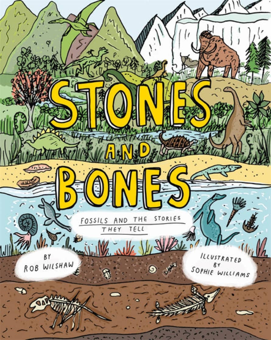 Thames & Hudson Stones and Bones: Fossils and The Stories They Tell Book by Rob Wilshaw
