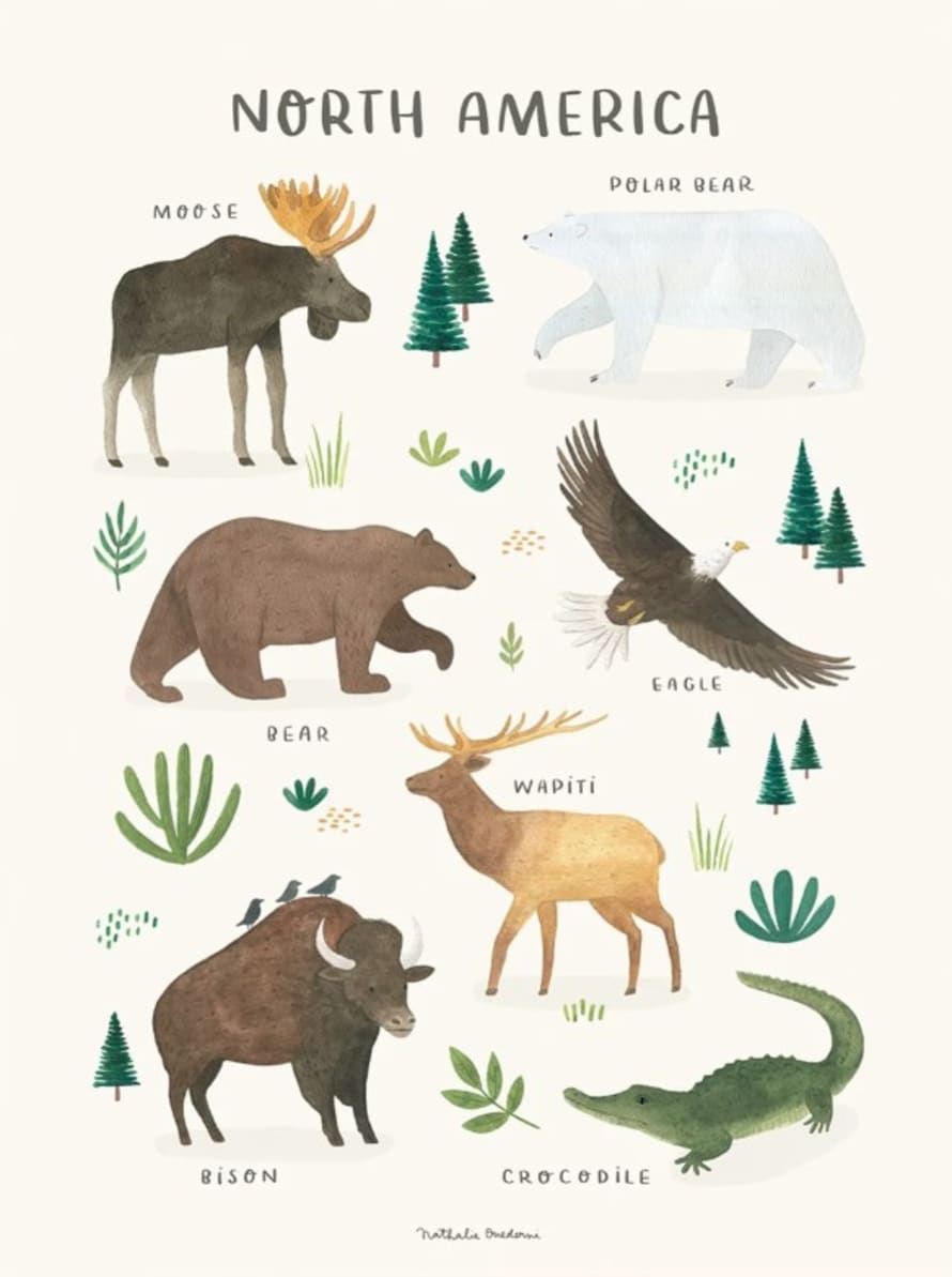 LILIPINSO Poster Living Earth - Animali Del Nord America - Lilipinso