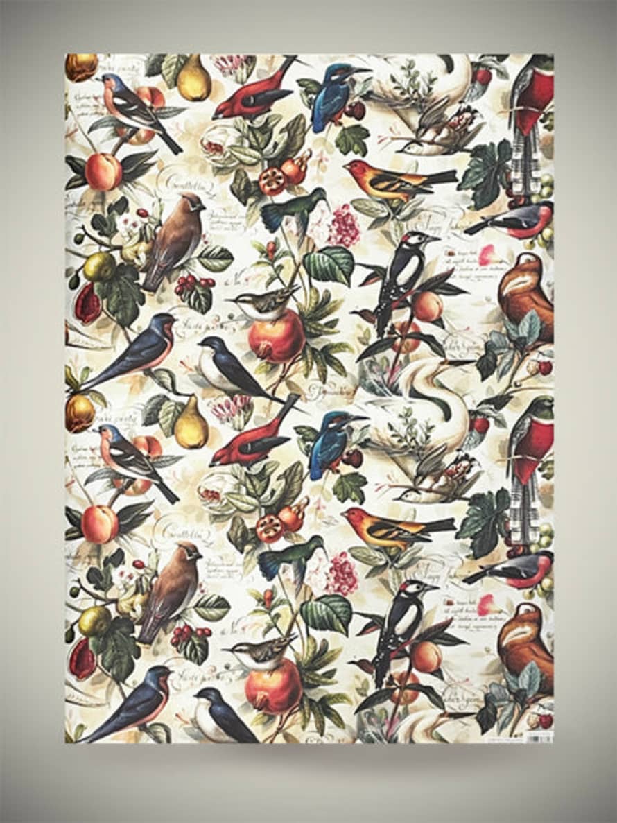 Bomo Art Budapest Kft Papel Envoltorio 'birds & Fruits' - 100x70 Cm