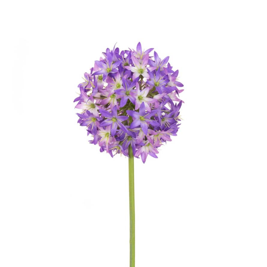 Cornucopia Worcester 62cm Purple Allium Faux Spray