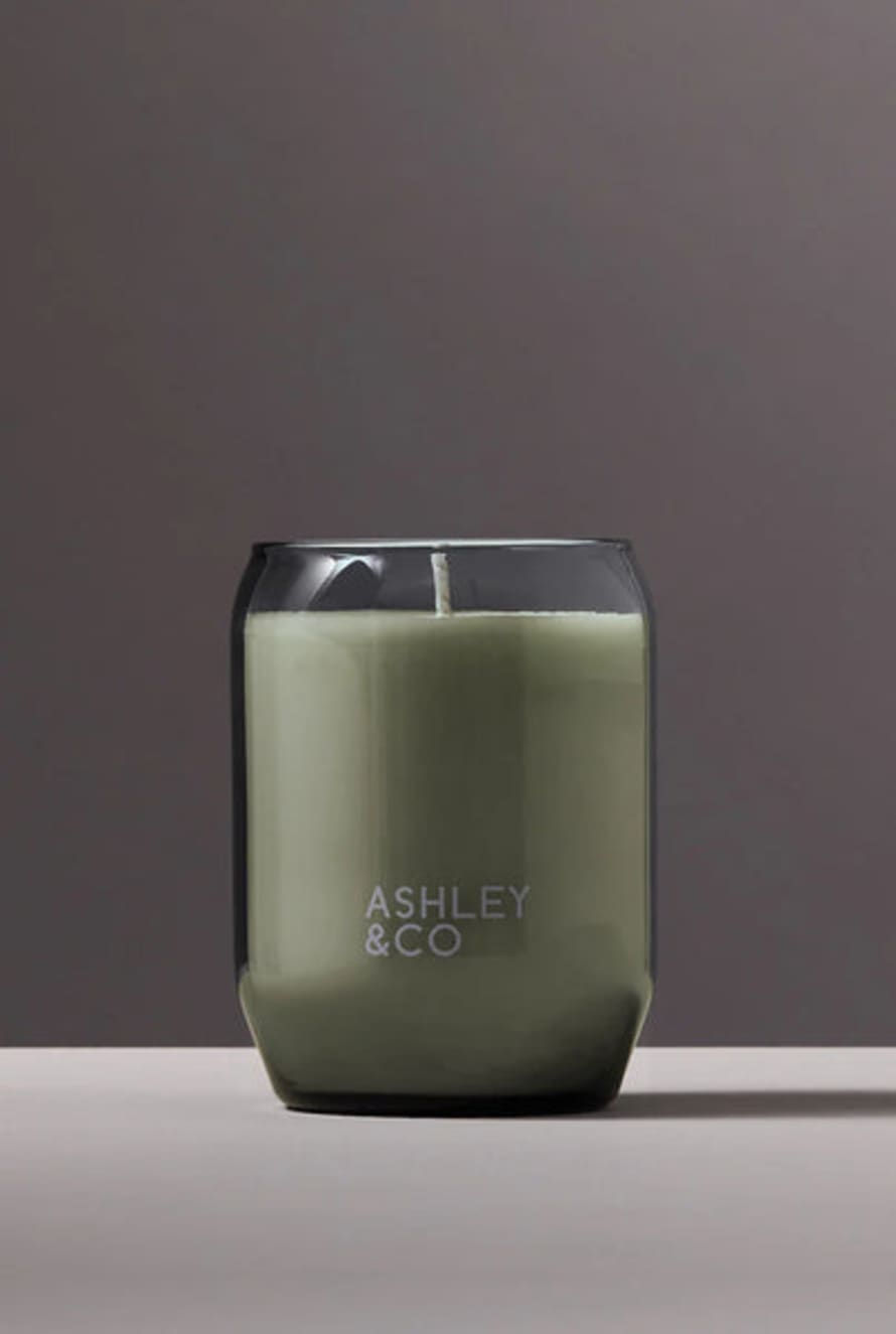 Ashley & Co Waxed Perfume Candle - Parakeets & Pearls