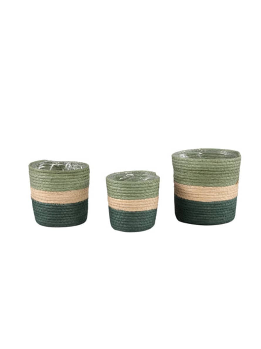 PTMD Small Tyro Green Layered Paper Rope Plant Pot / Basket