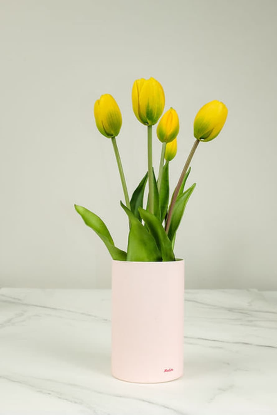 Nodito Mazzo Di Tulipani Profumati Yellow