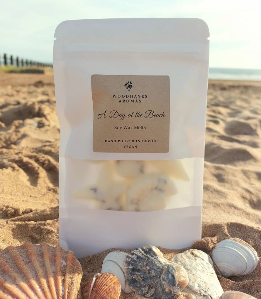 Hyde And Seek Day At The Beach Wax Melts