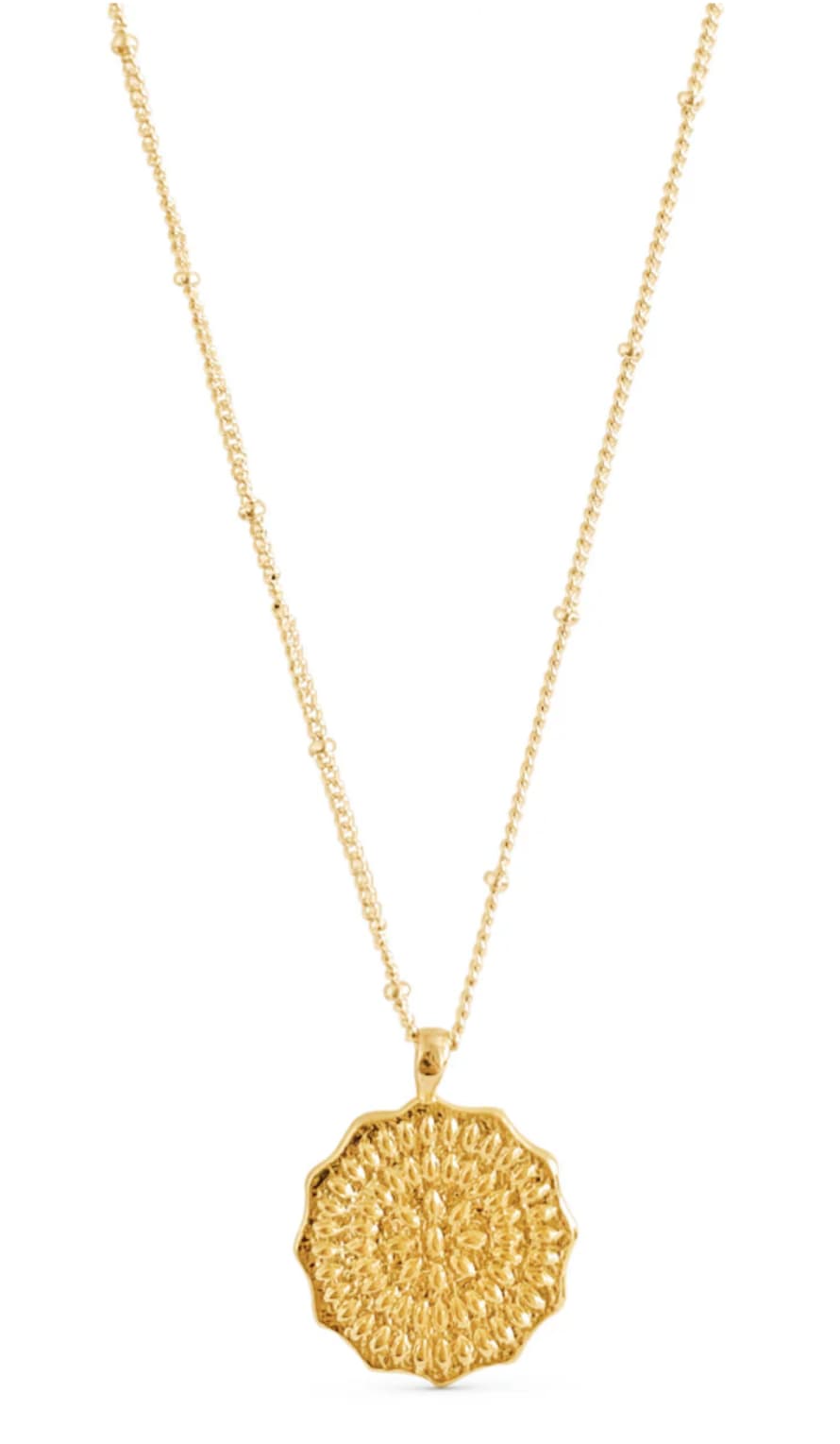 Formation Jewellery Sand Dollar Necklace