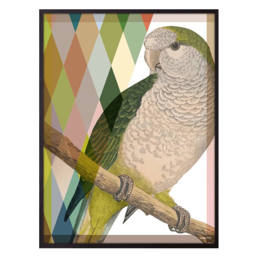 Vanilla Fly Proud Parrot Print