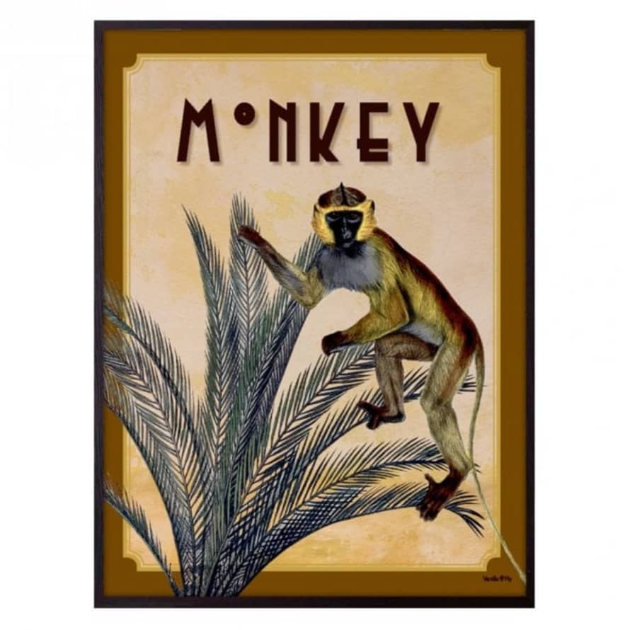 Vanilla Fly Monkey Print