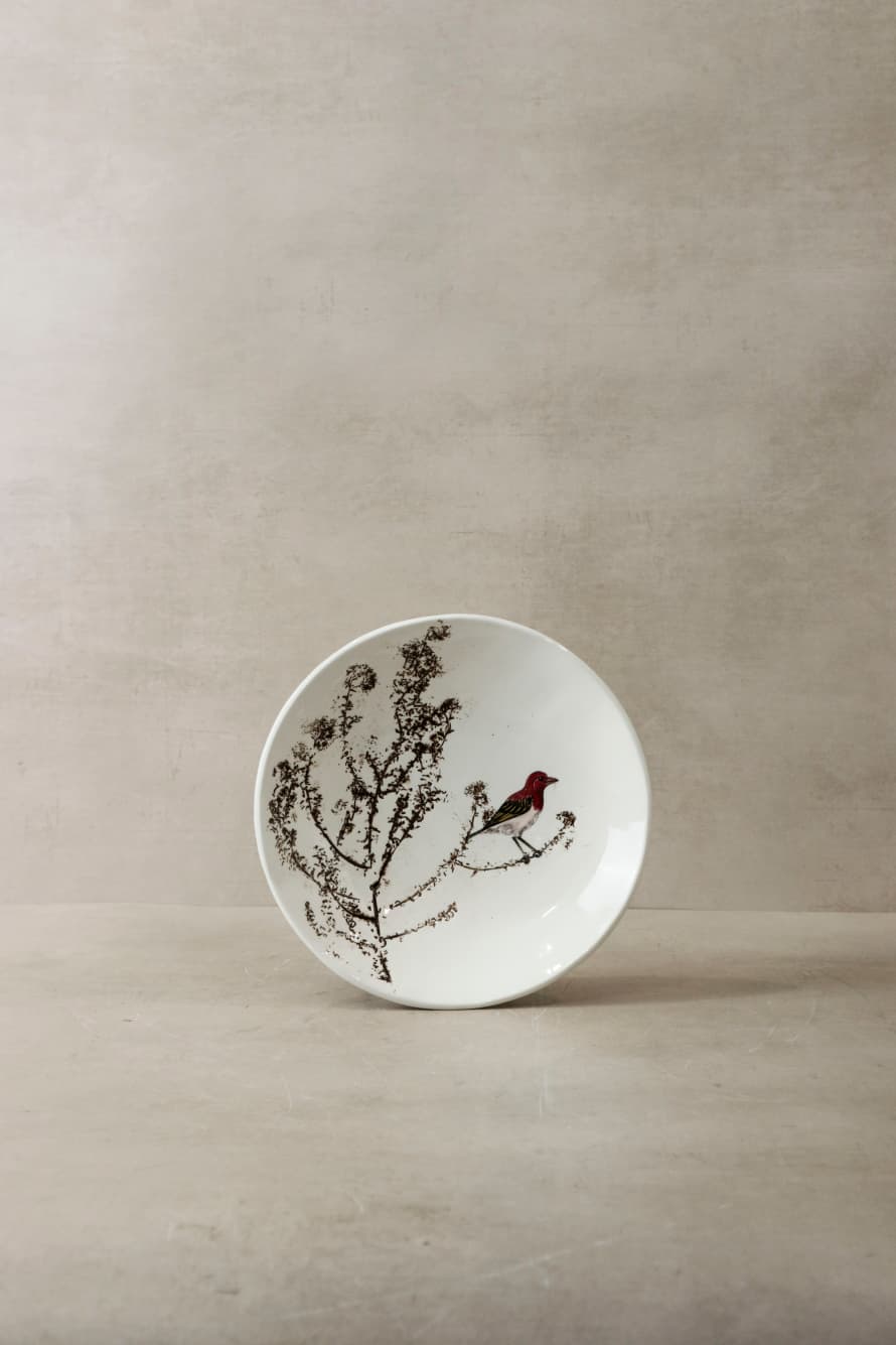 botanicalboysuk Fynbos & Bird Ceramic Plate N°19