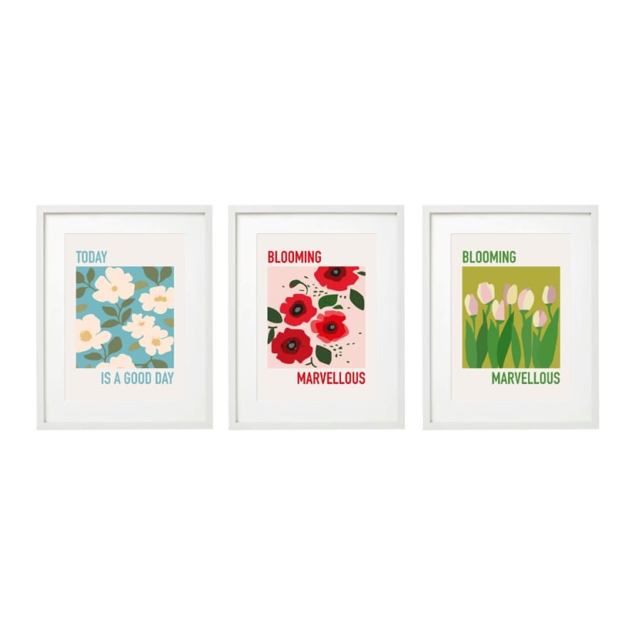 Temerity Jones Bloomin Flowers Framed Art Print : White Shrub Rose, Red Poppy or Pink Tulips