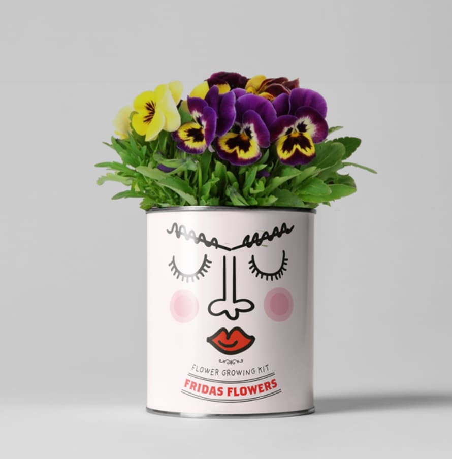 The Plant Gift Co. Frida's Flowers. Eco Grow Your Own Plant, Gardening Kit.