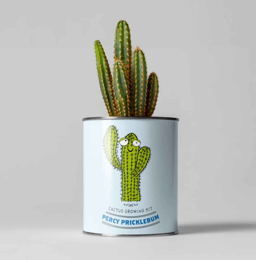 The Plant Gift Co. Percy Pricklebum. Grow Your Own Cacti Kit, Gardening Gift