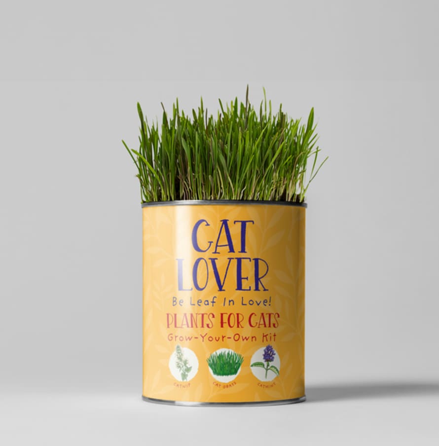 The Plant Gift Co. Cat Lovers. Eco Grow Your Own Plant Kit, Gardening Kit.