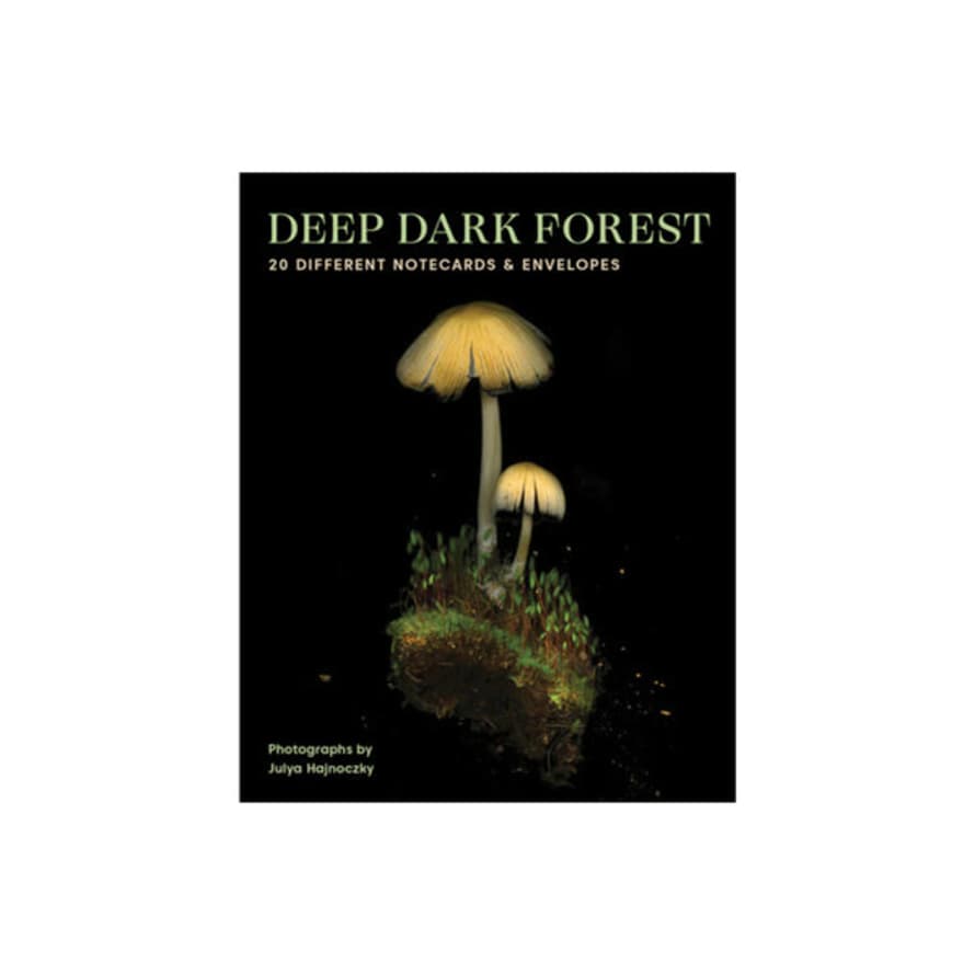 Chronicle Books Deep Dark Forest Notes by Julya Hajnoczky