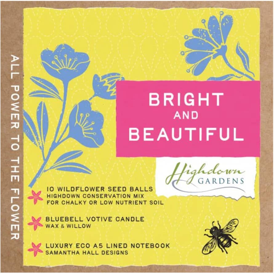 Sussex Seed Balls Bright & Beautiful Gift Box
