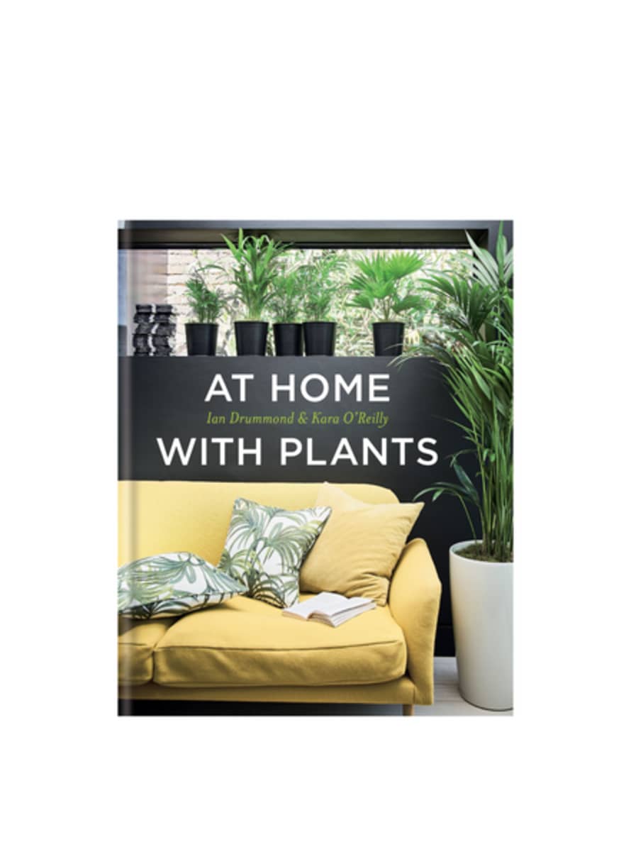 Books At Home With Plants