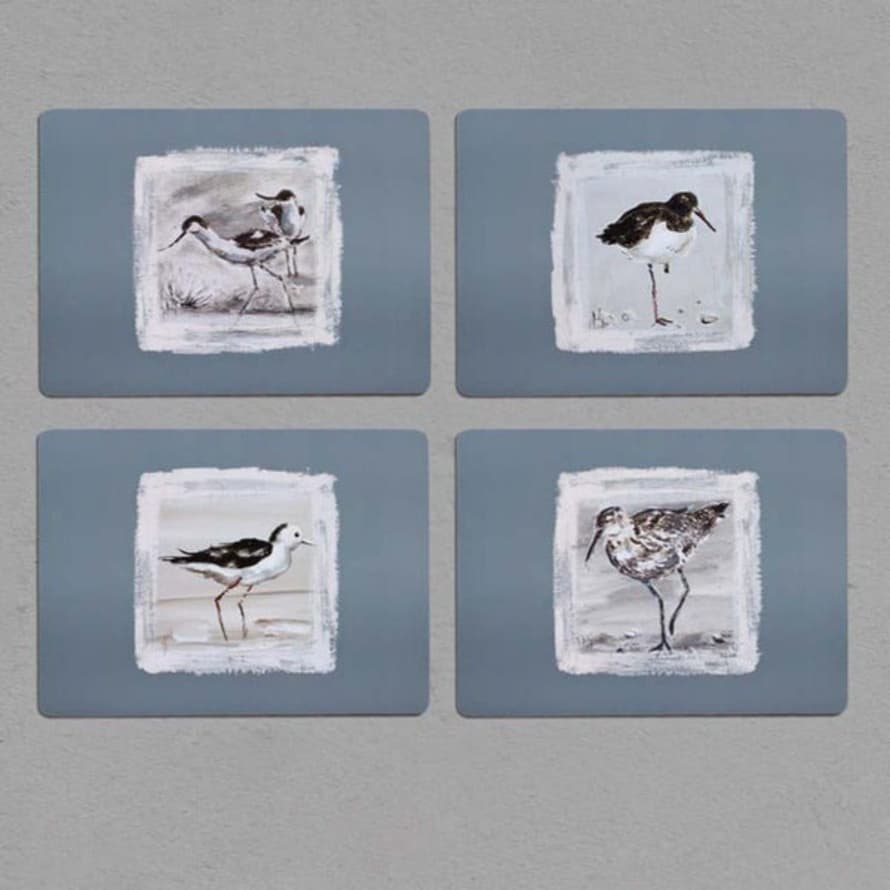 Distinctly Living Painted Bird Placemats - Set Of 4