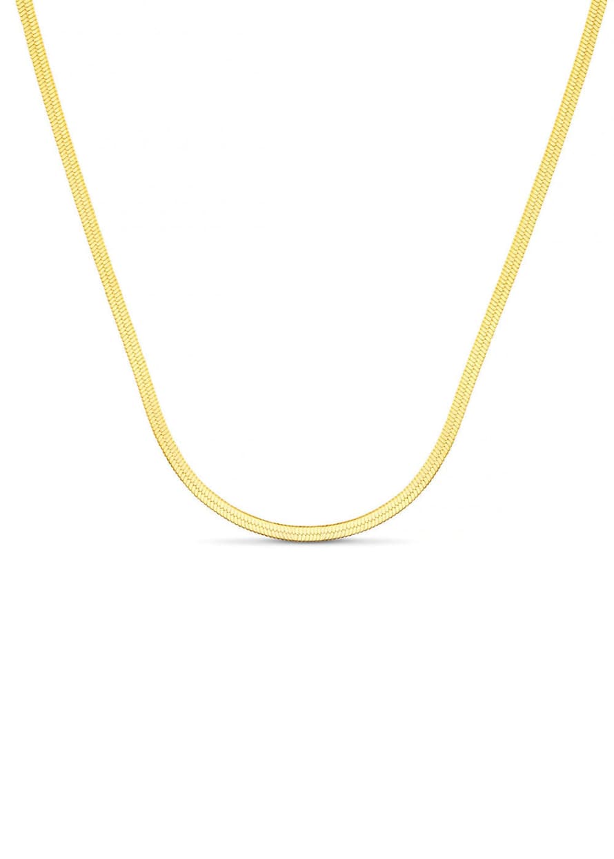 Orelia Flat Snake Chain Necklace