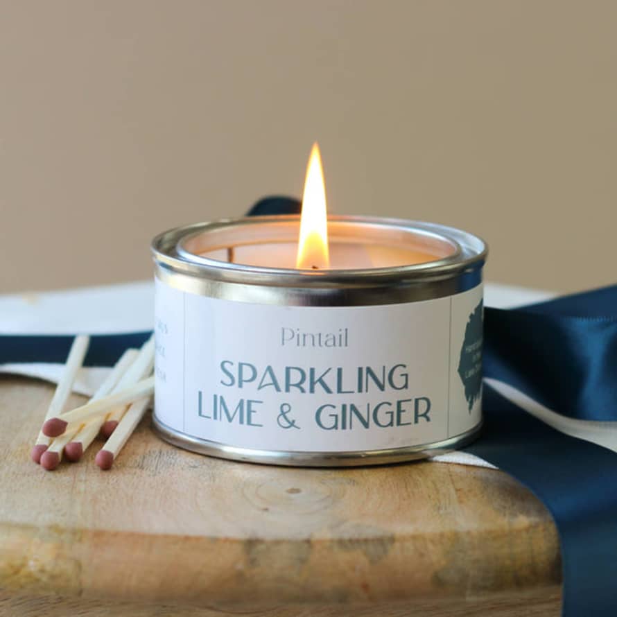 Pintail Candles | Avalon Home Sparkling Lime And Ginger Paint Pot Candle