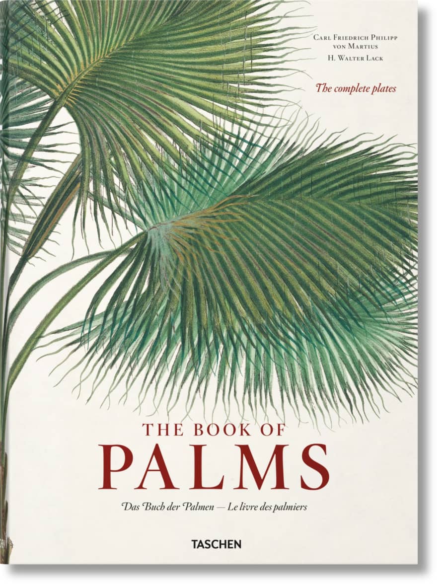 Taschen The Book of Palms by H Walter Lack