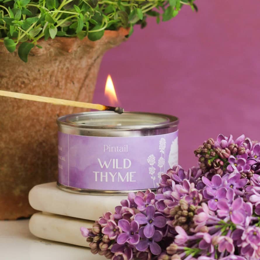 Pintail Candles | Avalon Home Wild Thyme Paint Pot Candle