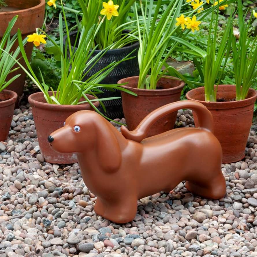 Rex London Sausage Dog Watering Can