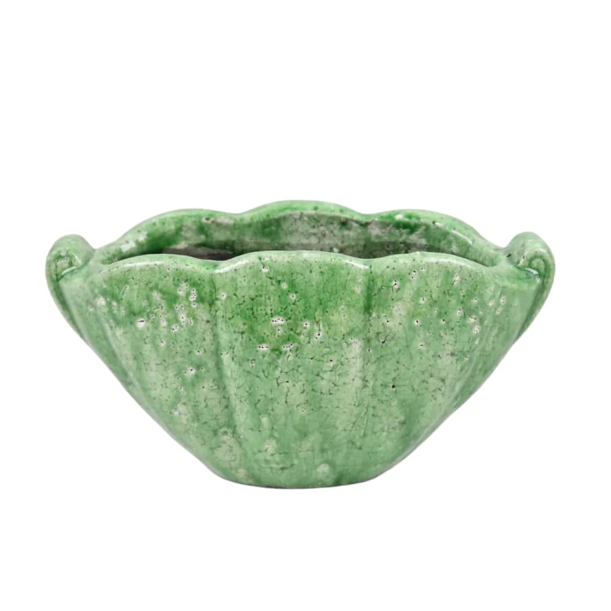 Terrace and Garden Shell Planter Verde