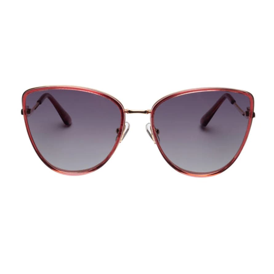 Elie Beaumont  Havana Sunglasses