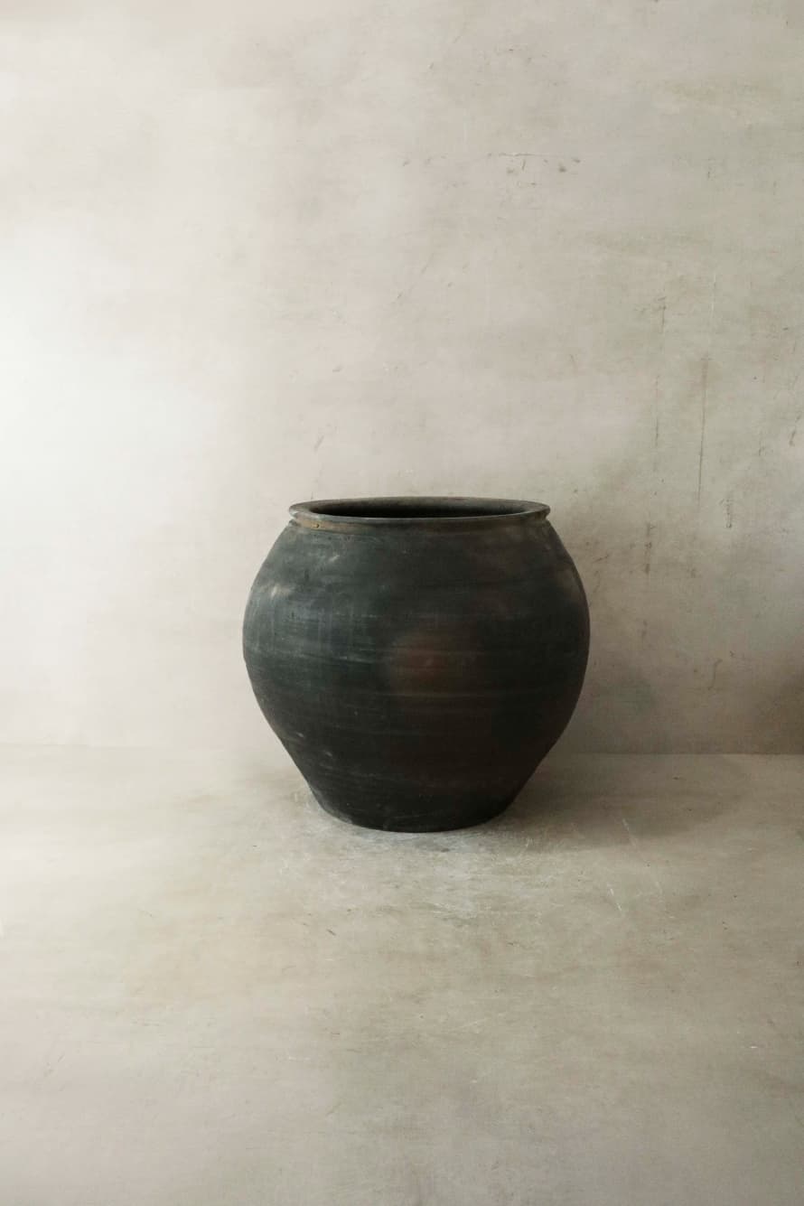 Botanical Boys Vintage Dark Pot N° 023