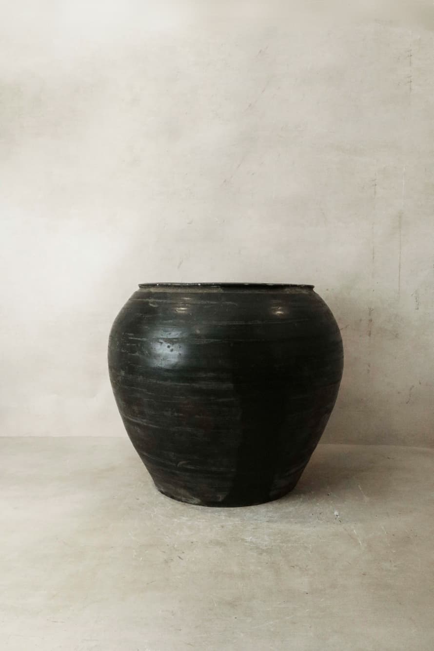 Botanical Boys Vintage Dark Pot N° 025