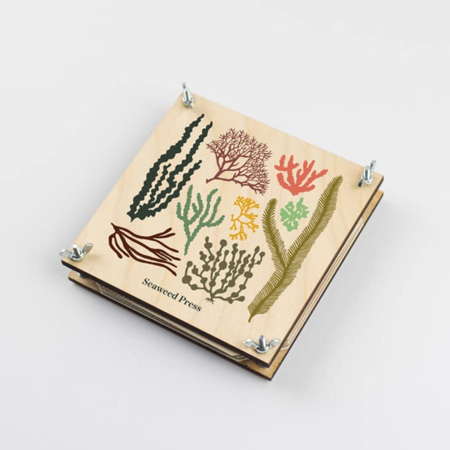 Studio Wald Seaweed Press Kit