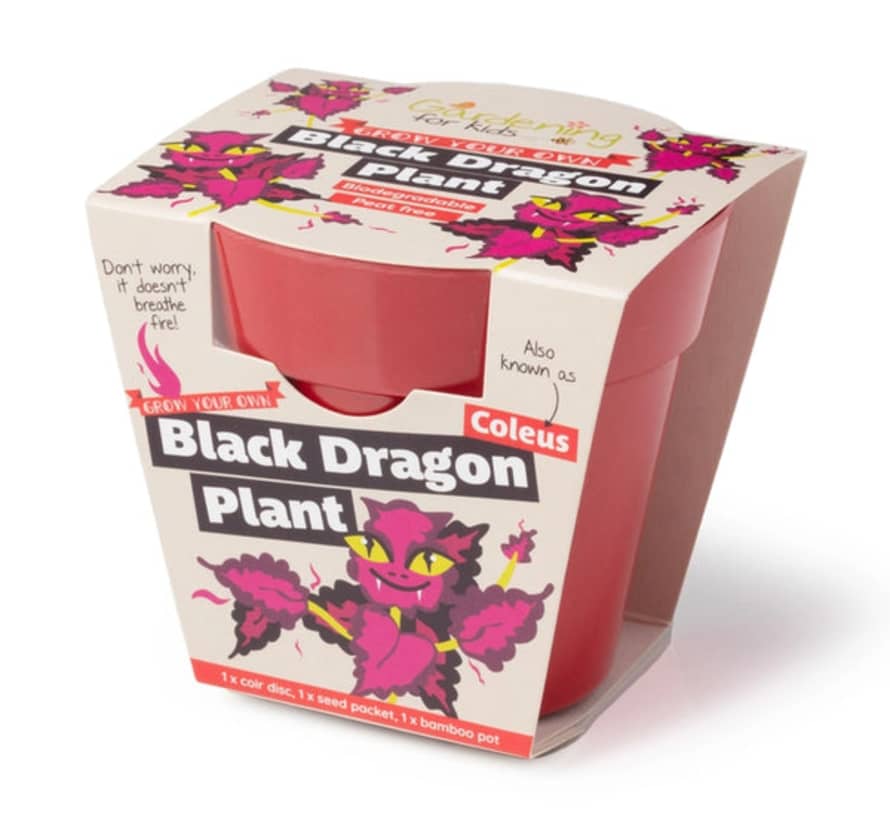 Gardening for Kids Black Dragon Plant Growing Kit