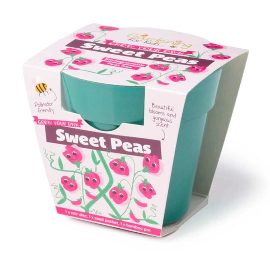 Gardening for Kids Sweet Pea Growing Kit