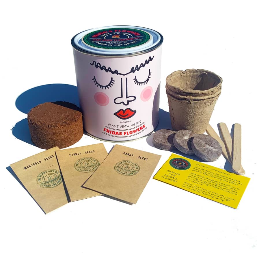 THE PLANT GIFT COMPANY Fridas Flowers Eco Grow Your Own Gardening Kit