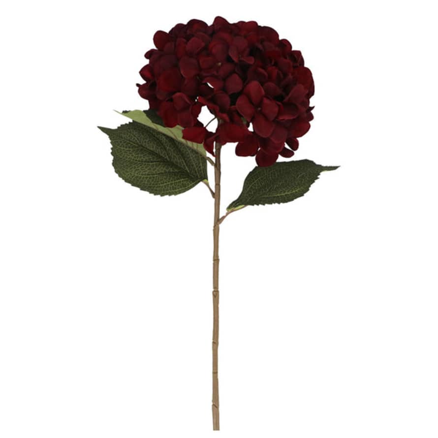 Gisela Graham Giant Hydrangea Stem - Mahogany Brown, 83cm