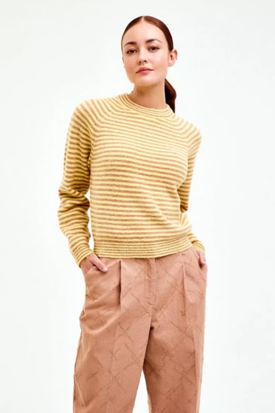 CKS Prelude Yellow / Mustard Stripe Pullover