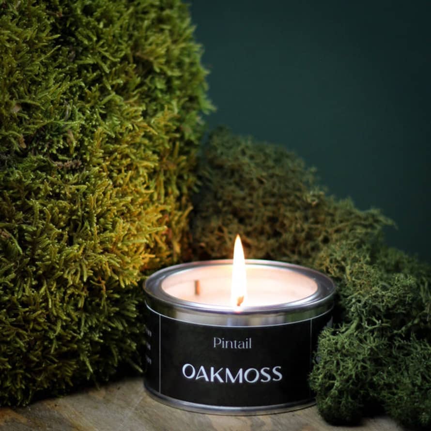 Pintail Candles | Avalon Home Oakmoss Paint Pot Candle(Pack of 6)